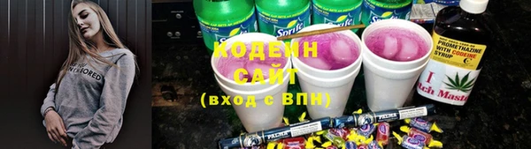 ГАЛЛЮЦИНОГЕННЫЕ ГРИБЫ Арсеньев