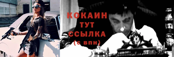ГАЛЛЮЦИНОГЕННЫЕ ГРИБЫ Арсеньев