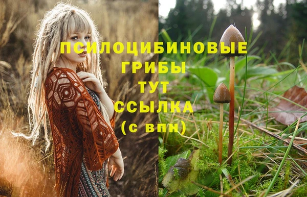 ГАЛЛЮЦИНОГЕННЫЕ ГРИБЫ Арсеньев