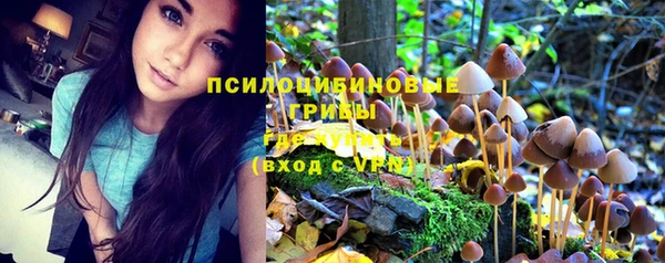 гашик Армянск