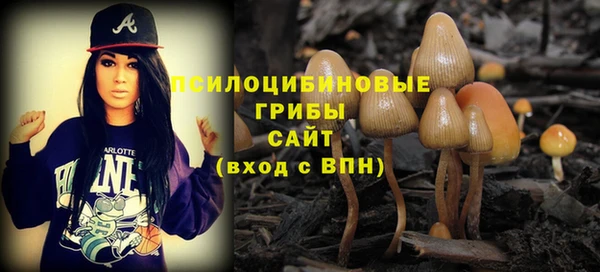 каннабис Аркадак
