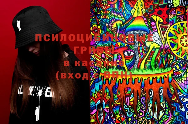 ГАЛЛЮЦИНОГЕННЫЕ ГРИБЫ Арсеньев